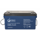 HMG-12-65 HMG-12-65